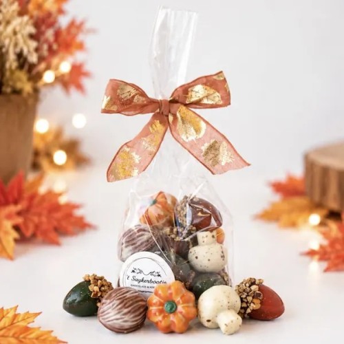 Zakje herfstpralines van 't Suykerbootje met eikel, walnoot, pompoen en champignon in chocolade