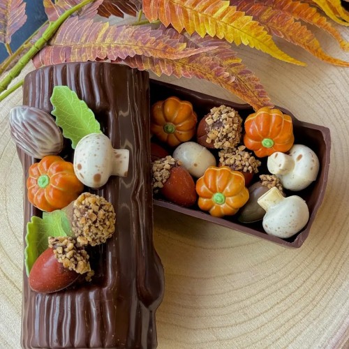Chocoladestronk met herfstpralines, afgewerkt met eikel, pompoen en paddenstoel
