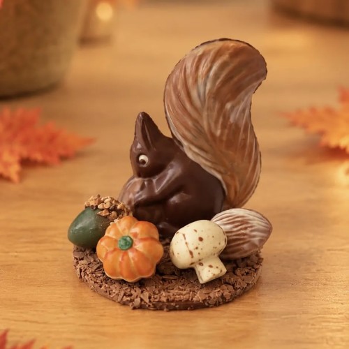 Chocoladewerkje eekhoorn met herfstpralines