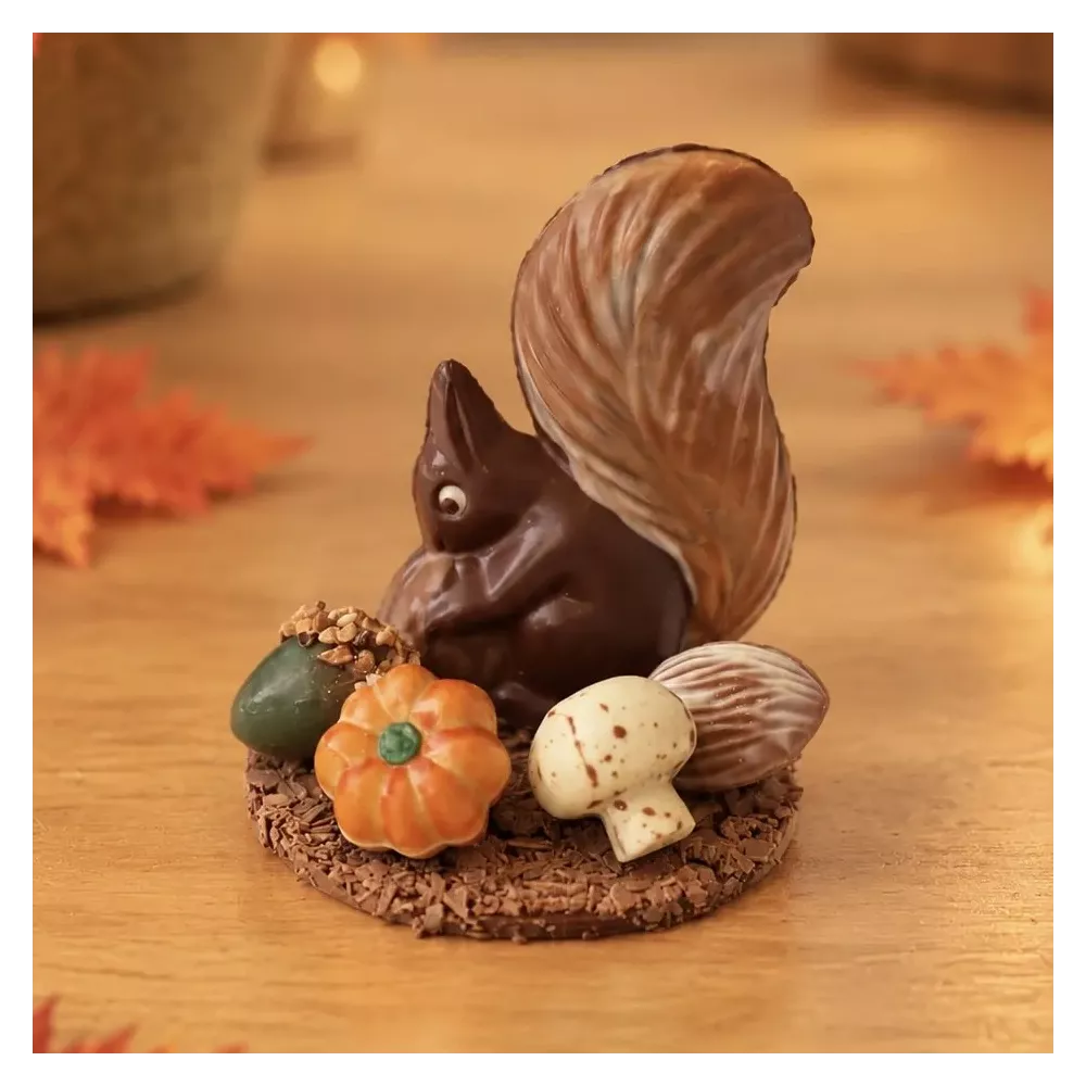 Chocoladewerkje eekhoorn met herfstpralines