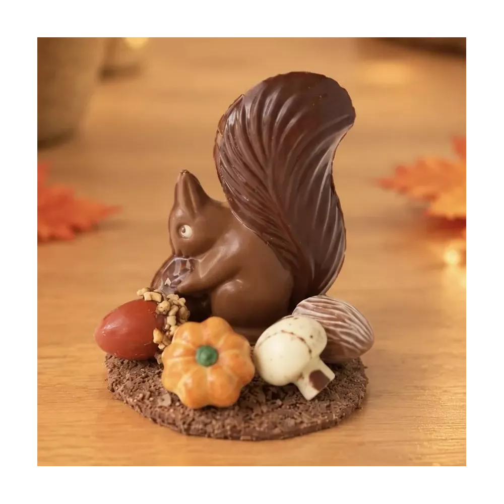 Eekhoorn in chocolade met herfstpralines: eikel, pompoen, paddenstoel en kastanje op een chocoladeplaatje