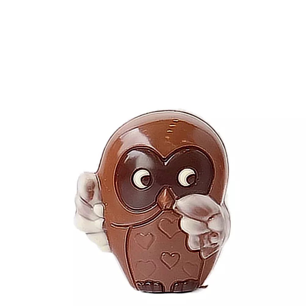 Uiltje ingekleurd - melkchocolade Sinterklaas Sint-Maarten