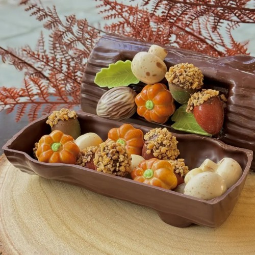 Chocoladestronk gevuld met herfstpralines van 't Suykerbootje