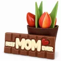 Best mom ever - reep melkchocolade met tekst