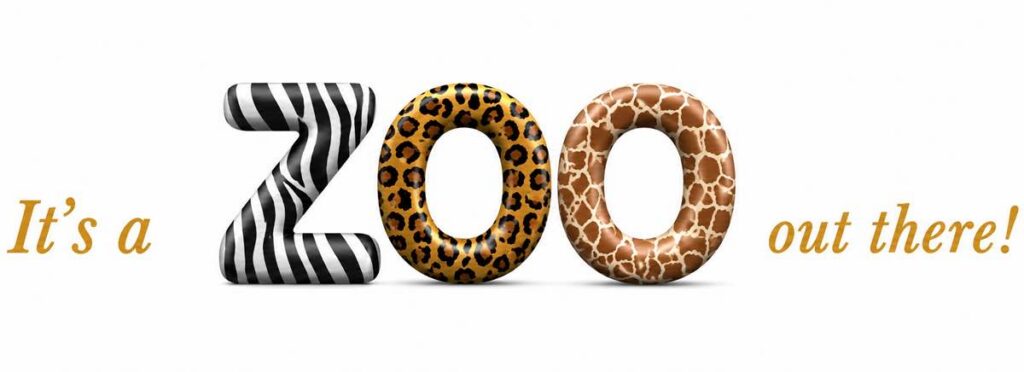 Zoodiertjes in chocolade van 't Suykerbootje — It's a zoo out there